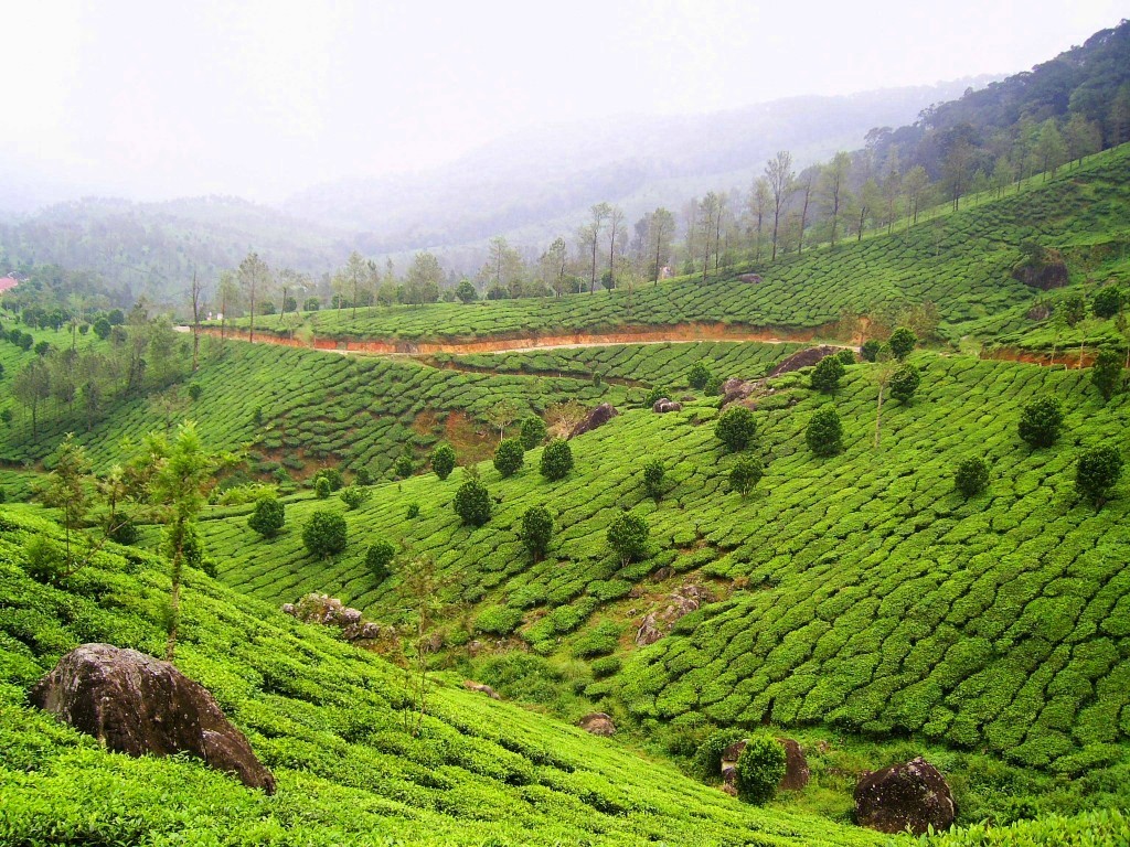 Must Visit Monsoon Destinations in Kerala - Travel India Destinations