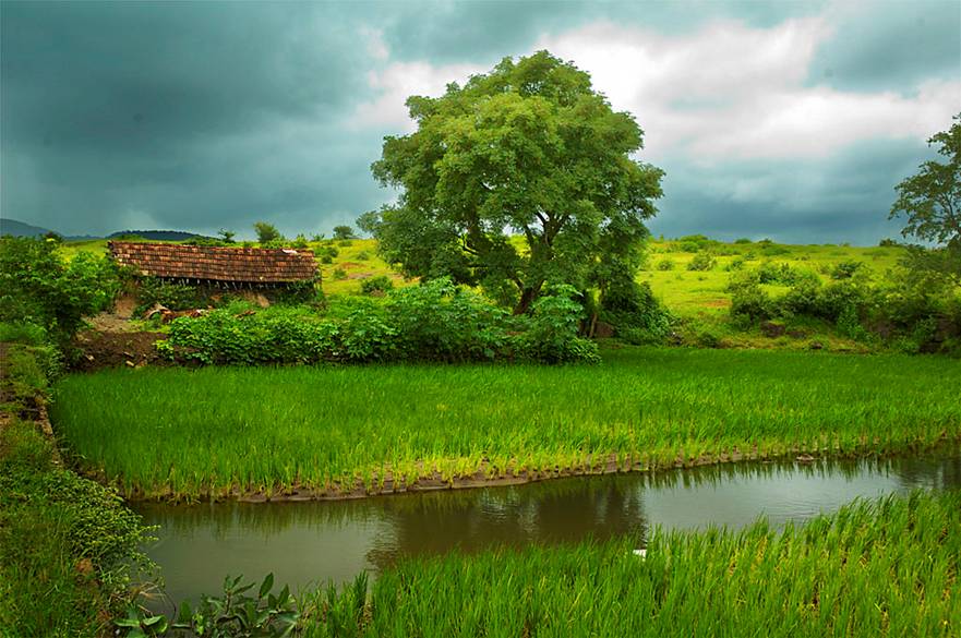 Monsoon Konkan - Travel India Destinations