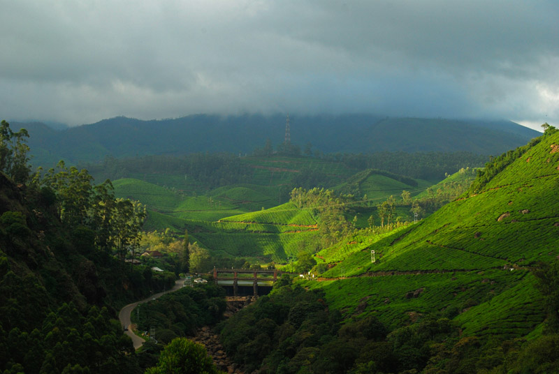 monsoon munnar - Travel India Destinations