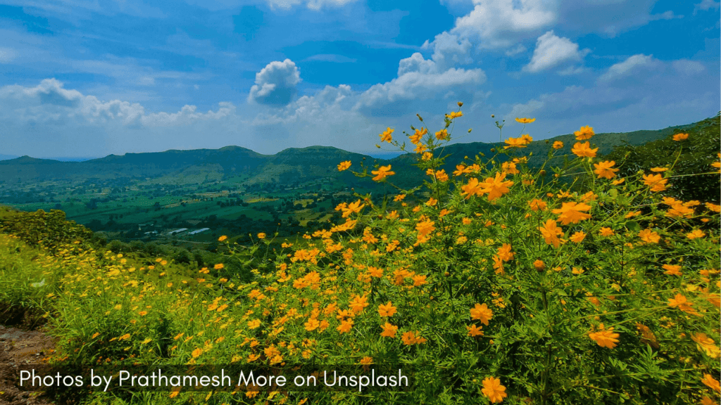 a lush greenery in satara one of the places to visit near Pune in monsoon