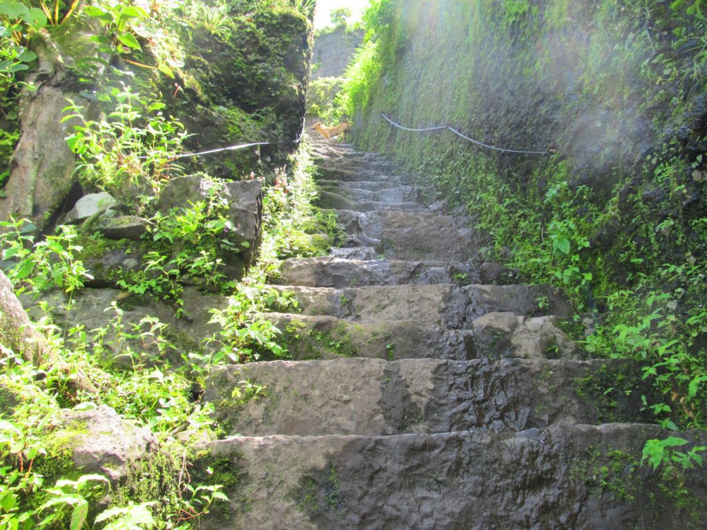 Tikona Fort Steps