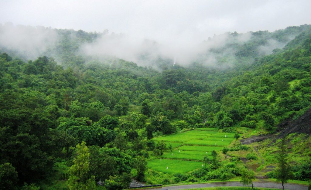 Konkan Village View Travel India Destinations