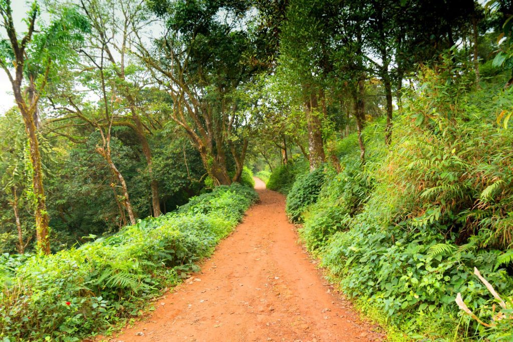 Coorg, India