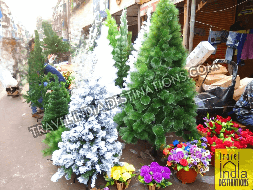 Christmas Tree Dealers in Crawford Market