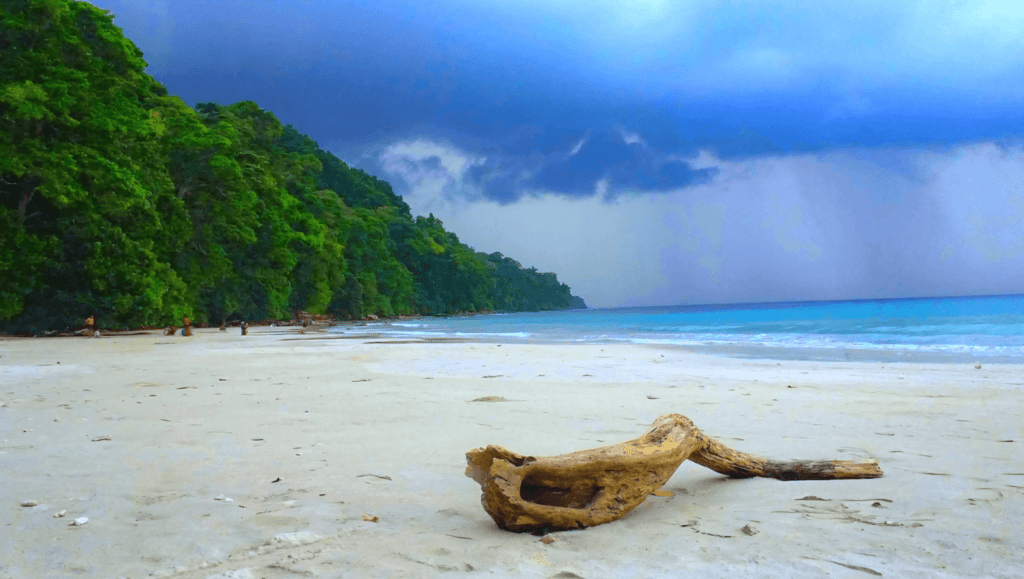 A beach in Andaman Nicobar Islands
