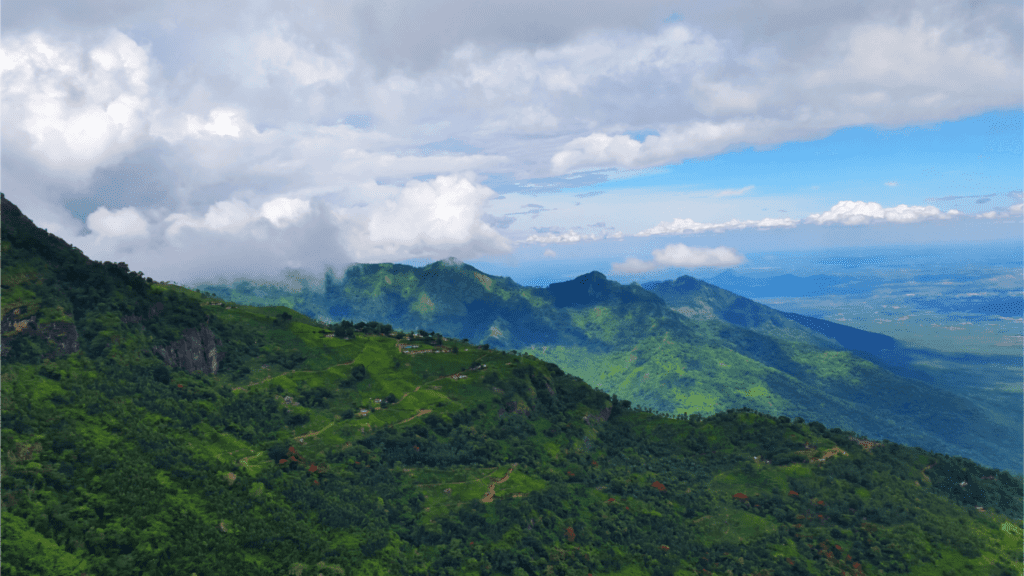 Hills of Coonoor Tamil Nadu