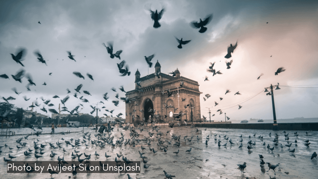 Pigeons flying near Gateway of India Mumbai voted as safe city in India