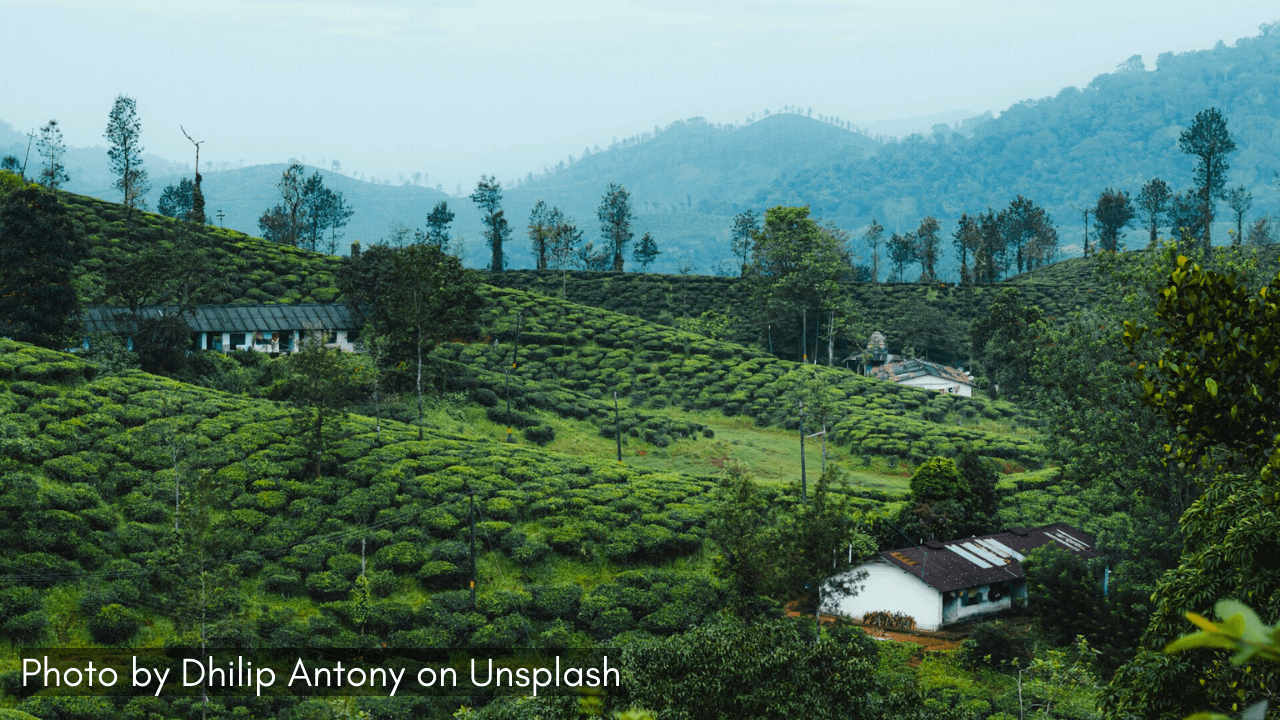 9 Places to Visit in Tamil Nadu During Monsoon - Travel India Destinations