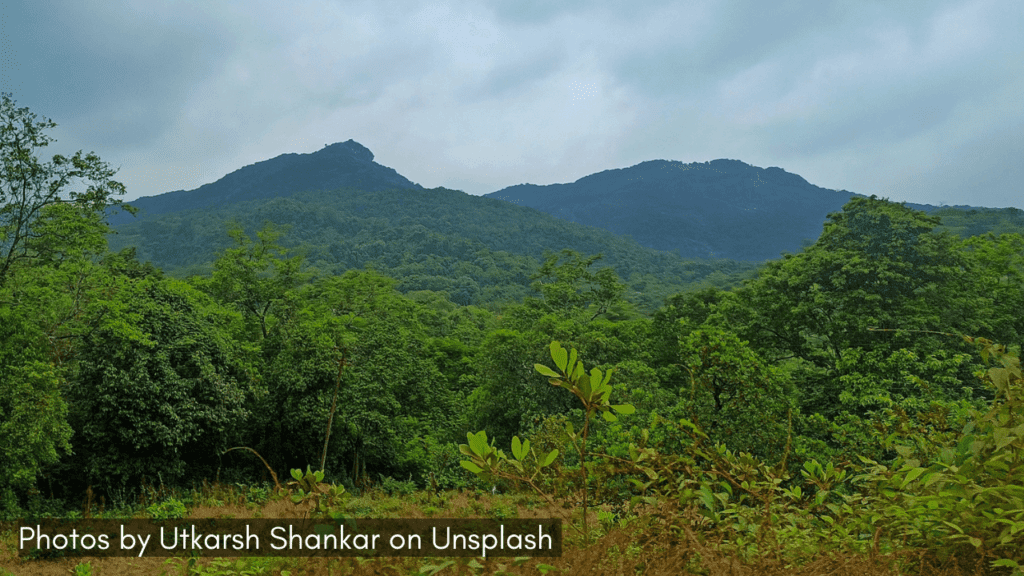 a view of the bhagwan mahavir wildlife sanctuary in Goa