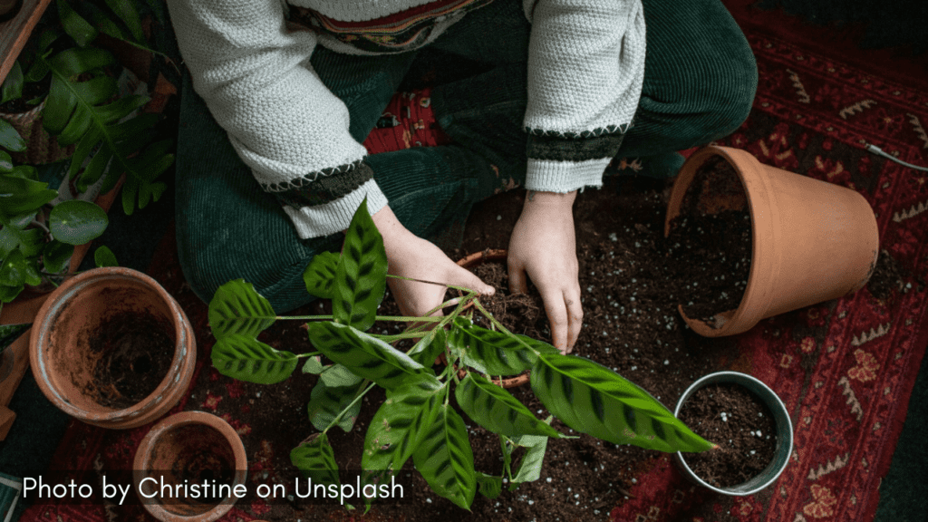 a person repotting plants and gardening on a balcony