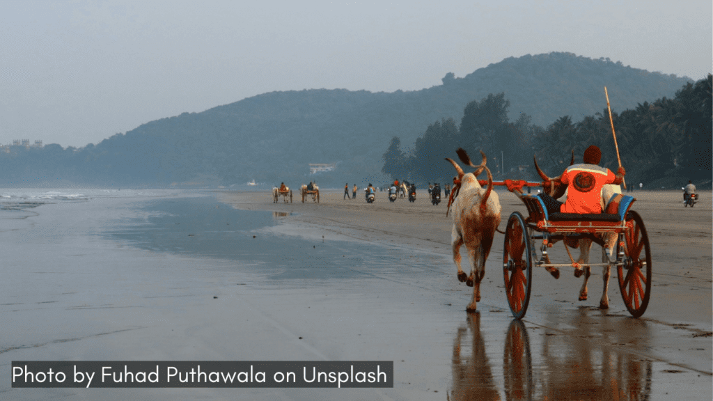 a misty view of murud beach in maharashtra