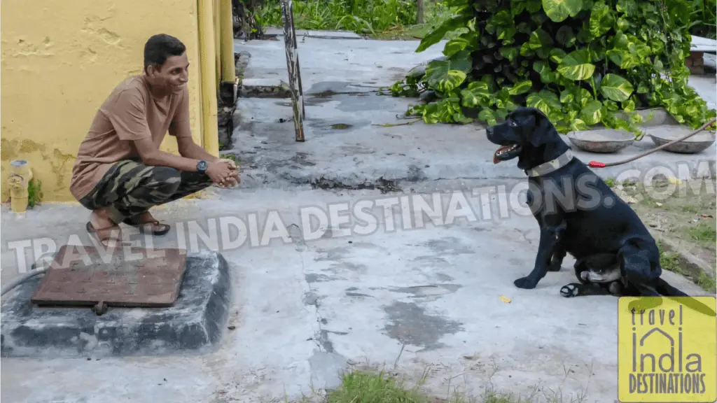 spending time with rover at one of the udaipur holiday rentals