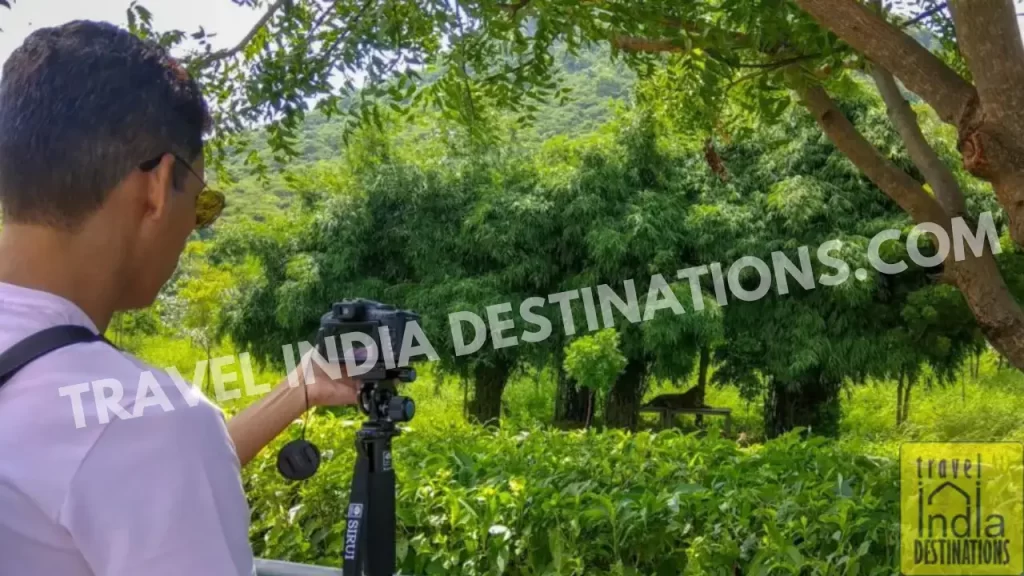 sharukh bamboat photographing the tiger at sajjangarh biological park