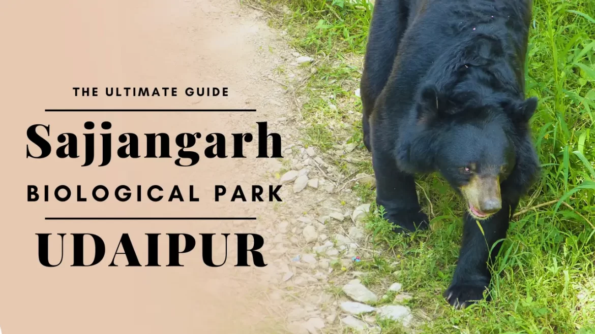 sajjangarh biological park udaipur featured image