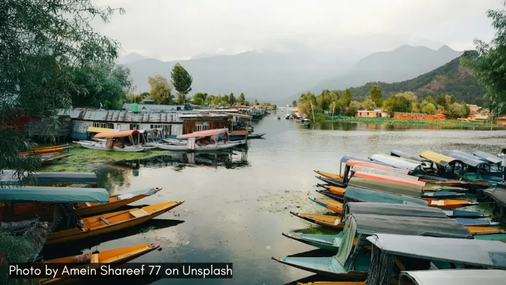 shikaras in Dal Lake in Kashmir, one of the best places to visit in December in India for holidays