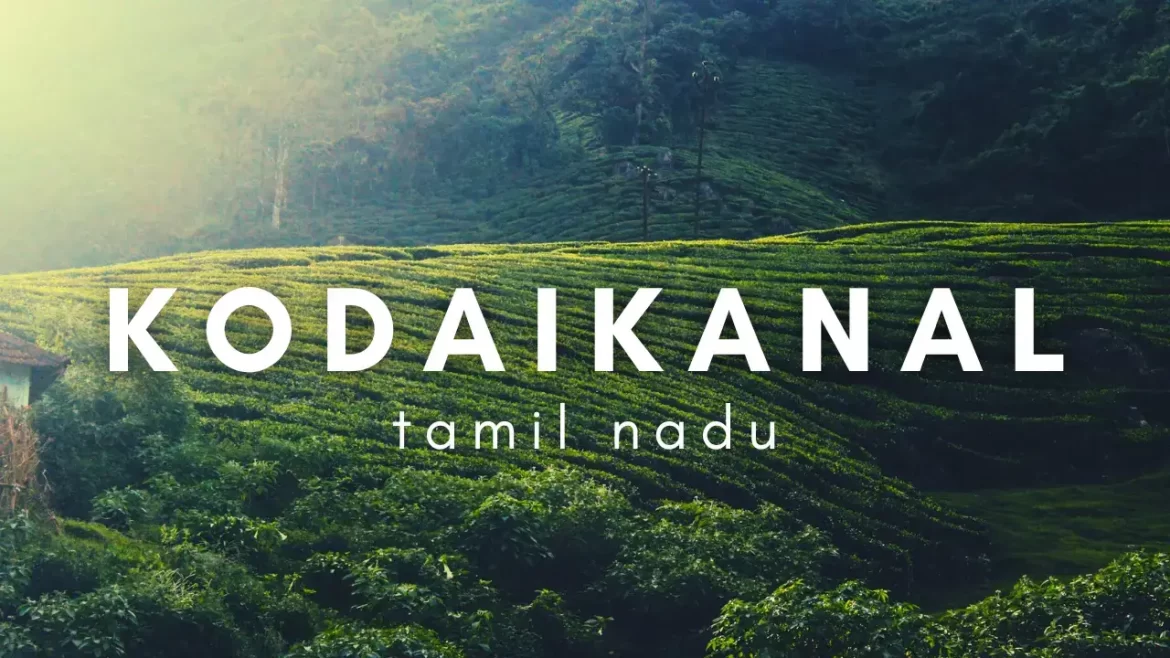 kodaikanal tamil nadu featured image for kodaikanal tourist places