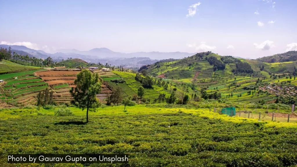 a scenic view of green hills in coonoor tamil nadu which is among the best places for honeymoon in india