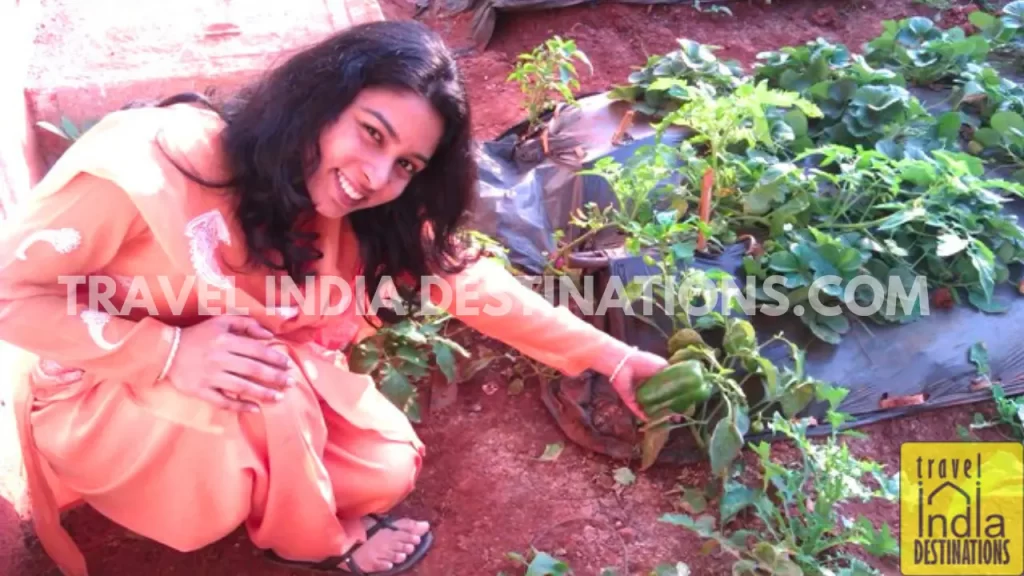 sarah in a vegetable field in mahabaleshwar for honeymoon