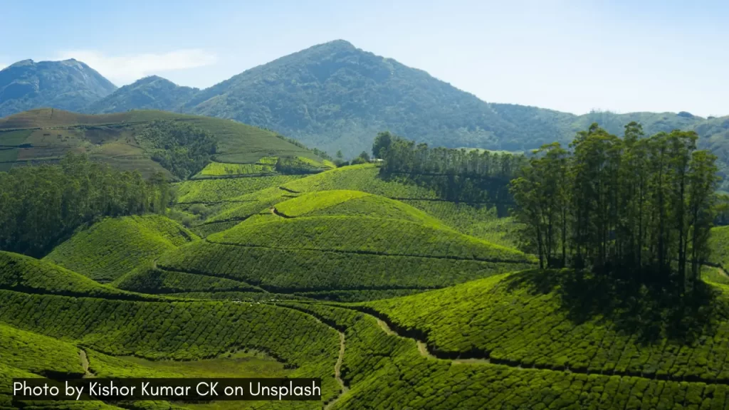 a scenic view of munnar kerala makes it one of the best places for honeymoon in india