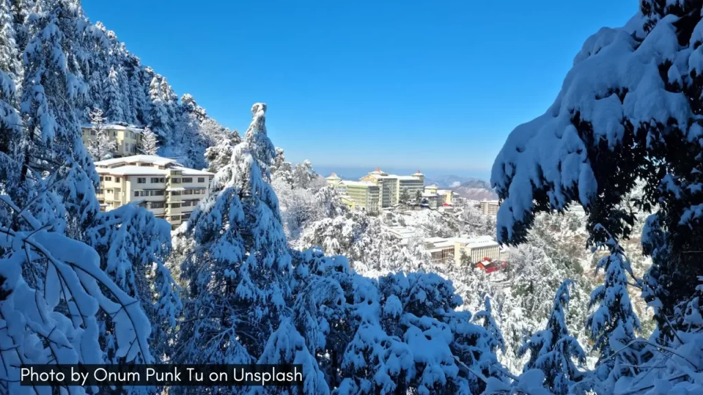 the snowy landscape of shimla is one of the best places to visit in january in india