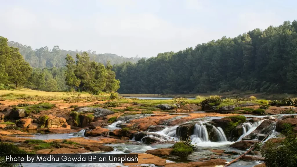 a serene view of the pykara falls in Ooty one of the best places to visit in South India in March