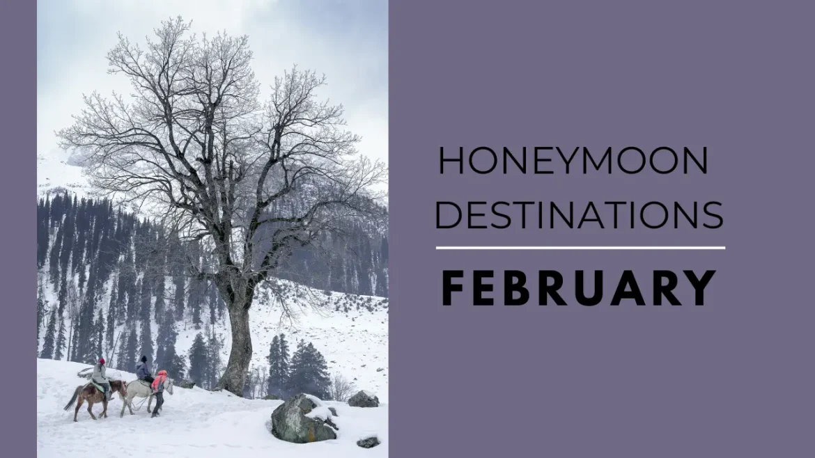 A shot of couple honeymooning in Jammu and Kashmir India taking horseride in a snowy landscape.