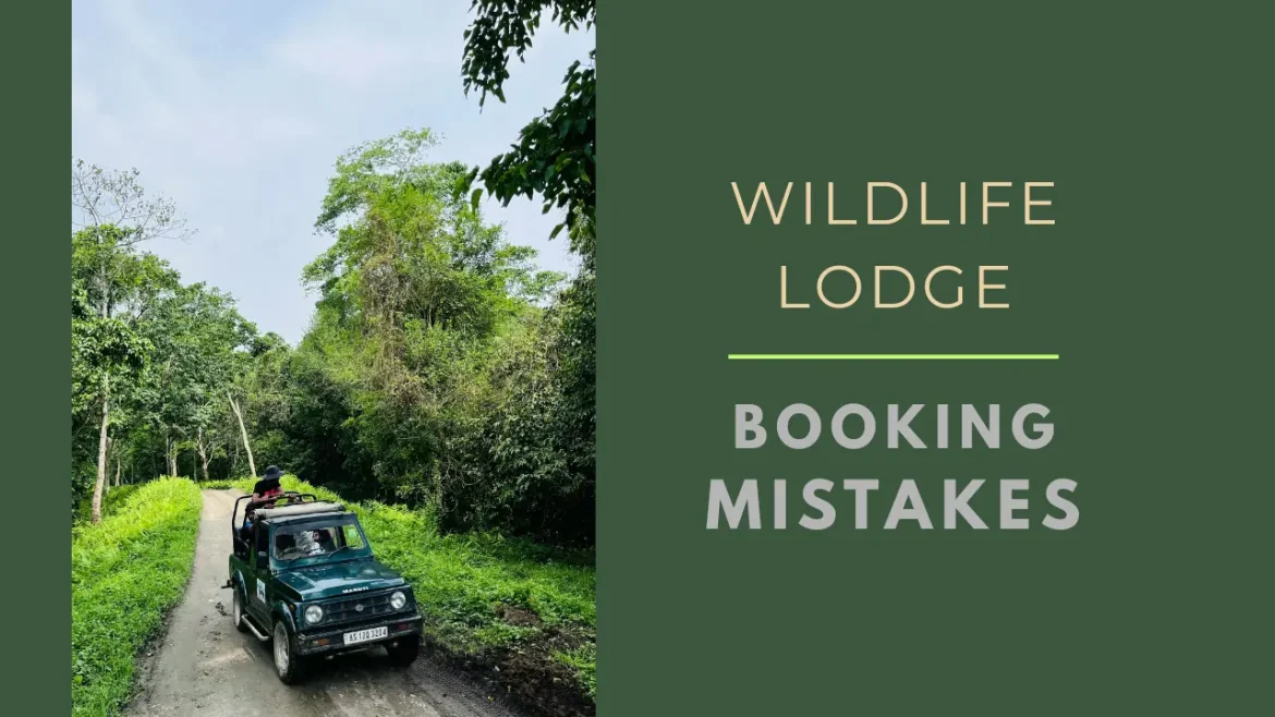 Jeep safari driving through Indian forest, wildlife adventure for lodge booking tips