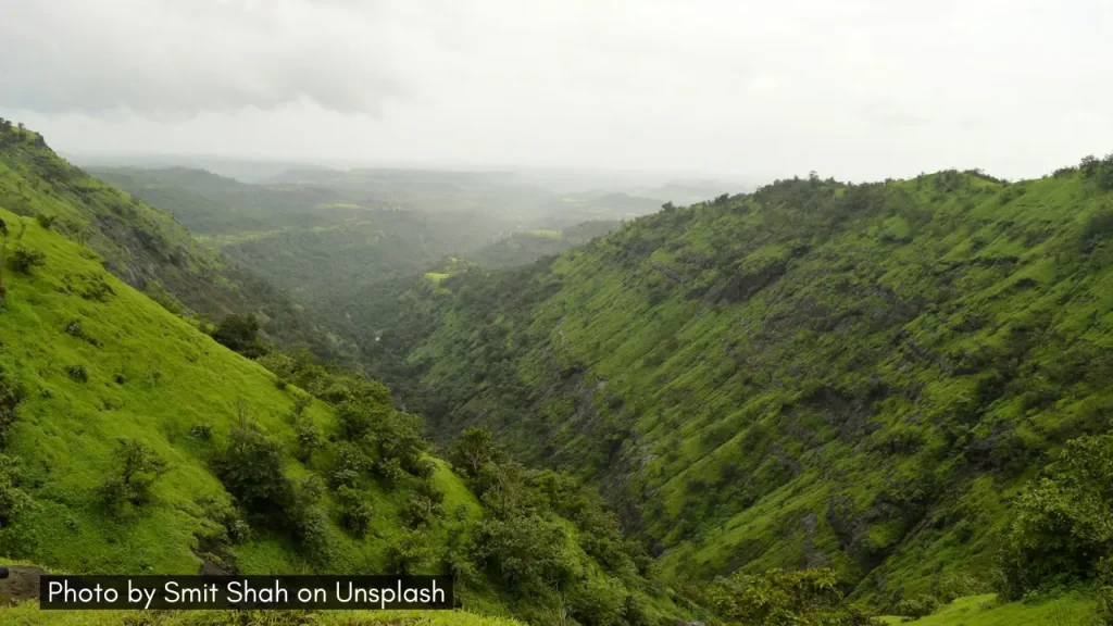 A scenic shot of lush green valley in Igatpuri in Maharashtra.