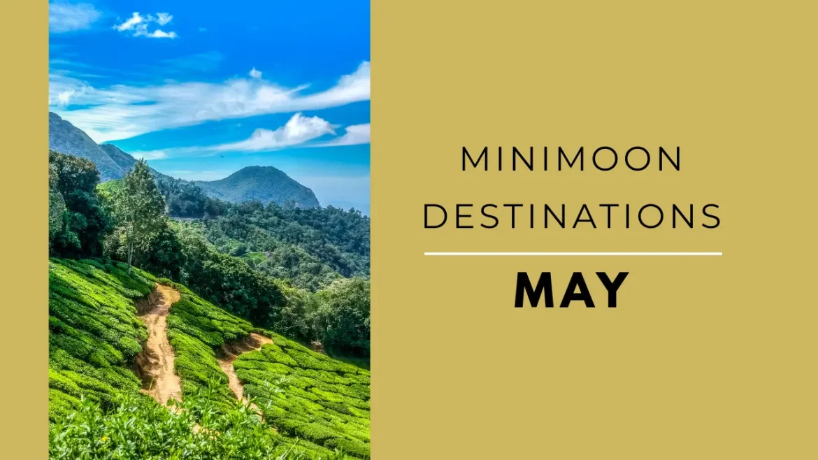 A shot of tea estate in Munnar in May one of the best minimoon destinations in India.