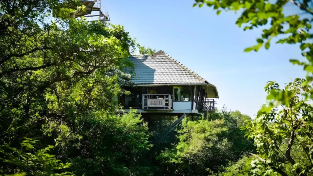 Exteriors of a treehouse at The Machan Lonavala, one of the best hotels in Lonavala for nature lovers.