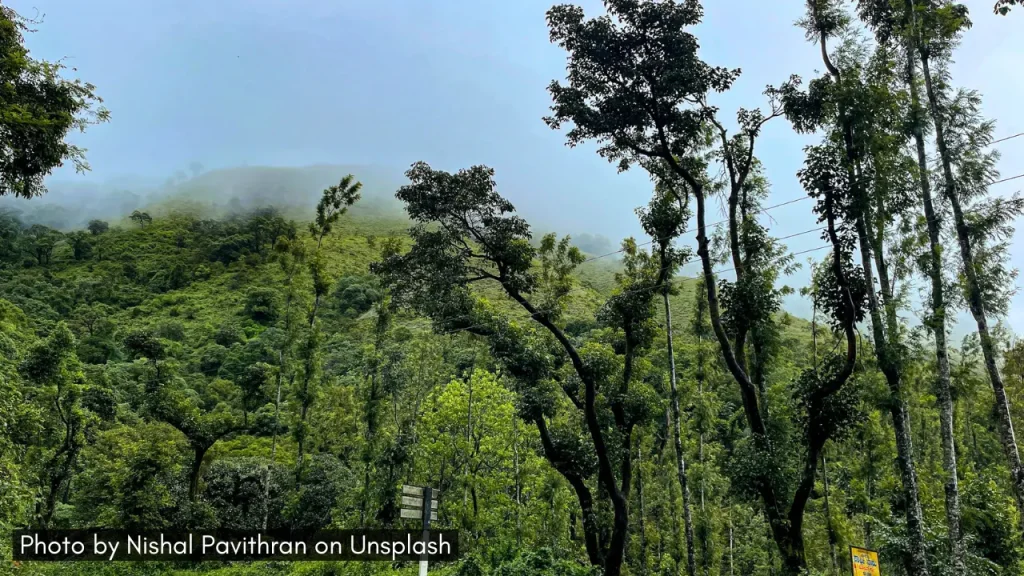 A view of mist setting over the lush green hills in Chikmagalur during the monsoon season.