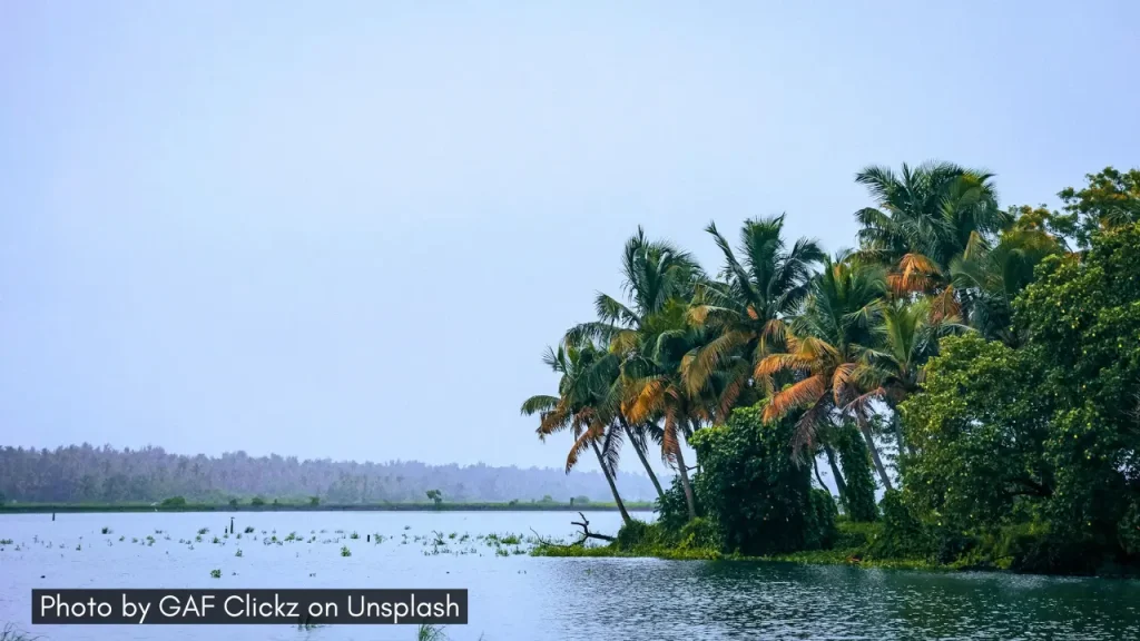A shot of Ashtamudi Lake in Kerala during the monsoon season.